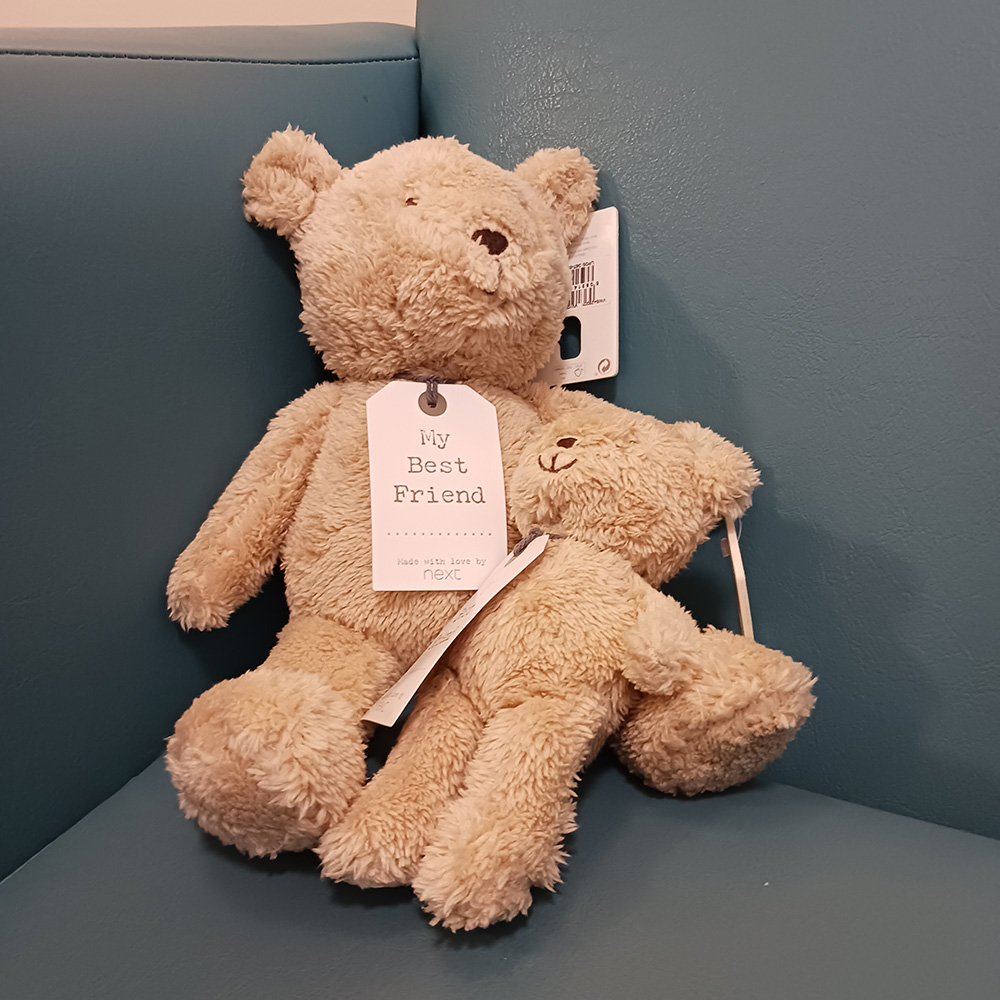 Teddy bear