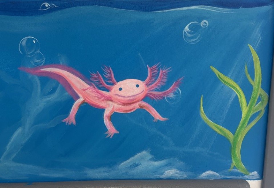 axolotl mural