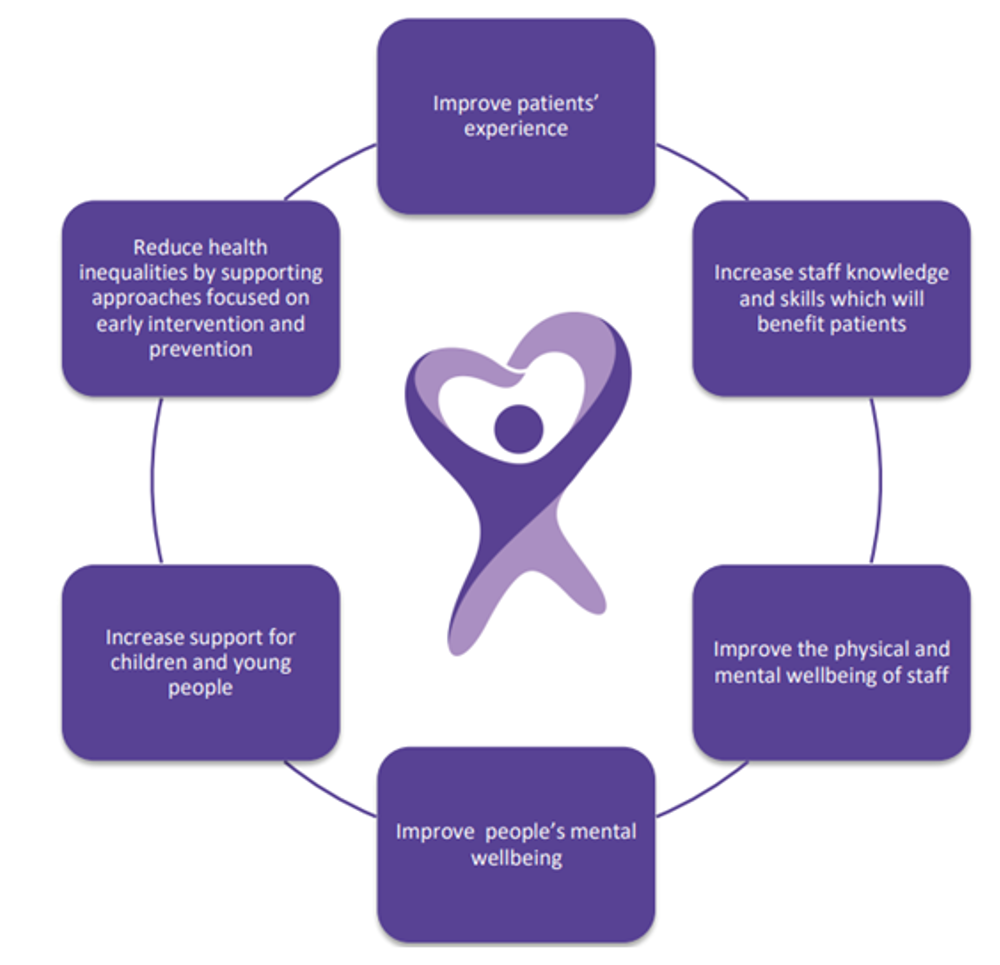 Improve patient experience Enhance individuals' mental well-being Advance the skills and knowledge of staff Mitigate health inequalities through early intervention and prevention Increase support for children and young people Promote staff physical and mental health