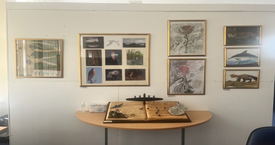 Veteran's Art On Display