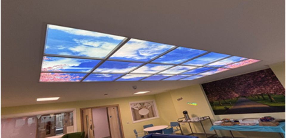 Older Adult MH Ward Ceiling