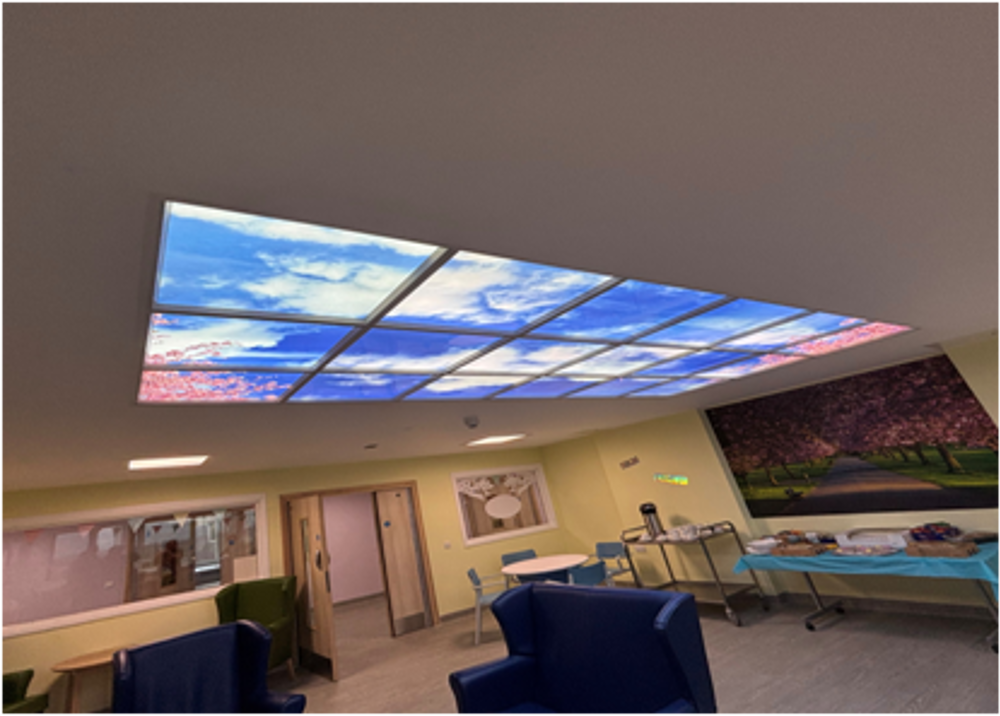 Older Adult MH Ward Ceiling