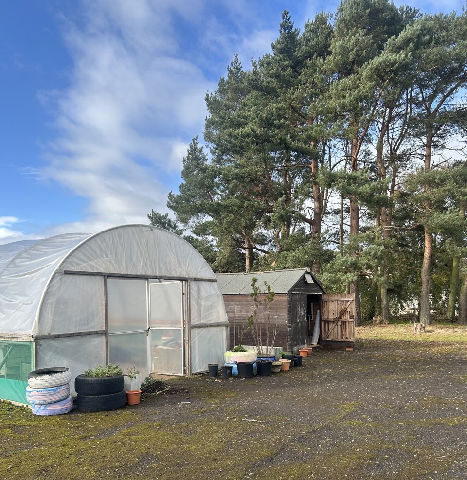 Polytent
